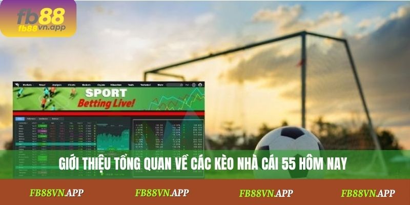 Giới thiệu tổng quan về các kèo nhà cái 55 hôm nay